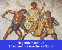 LiteSpeed vs Apache vs Nginx, Who Does Magento Hosting Better?