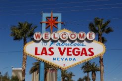 Join LiteSpeed At Magento Imagine In Las Vegas, April 11-13