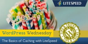 WordPress Wednesday: LiteSpeed Caching 101