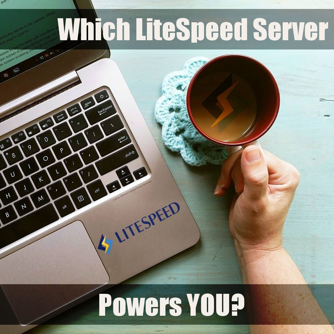 litespeed web server stable release