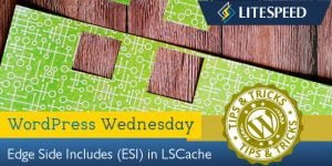 WordPress Wednesday: Edge Side Includes Caching