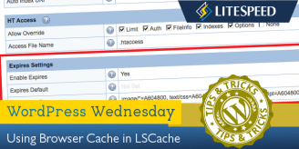 WpW: Using Browser Cache in LSCache