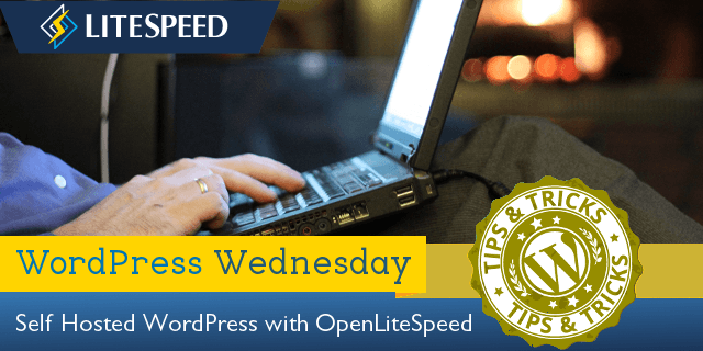 litespeed web server wordpress