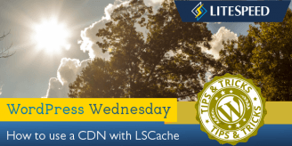 WpW: How to Set Up a CDN with LSCache