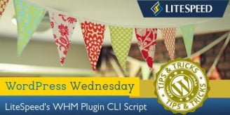 WpW: Exploring LiteSpeed’s WHM Plugin CLI Script