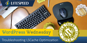 WordPress Wednesday: Troubleshooting LSCache Optimization
