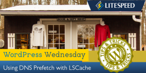 WordPress Wednesday DNS Prefetch with LSCache