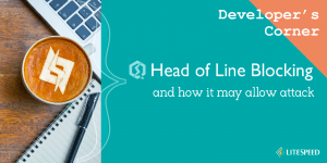 Developer's Corner: Head of Line Blocking Allows Attacks