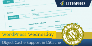 WordPress Wednesday: Object Cache Support in LSCache