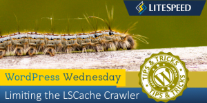 WordPress Wednesday: Limiting the LiteSpeed Cache Crawler