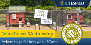 WordPress Wednesday: Where to go for LiteSpeed Cache Help