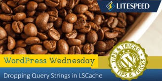 WpW: Dropping Query Strings in LSCache