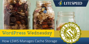 WordPress Wednesday: Managing LiteSpeed Cache Storage