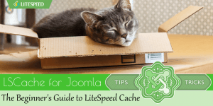 Joomla Tips: Beginner's Guide to LiteSpeed Cache for Joomla