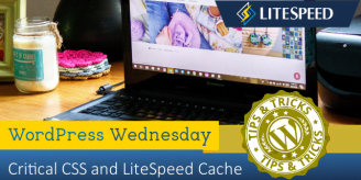 WpW: Critical CSS and LiteSpeed Cache