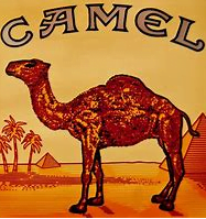 Camel: Where a man belongs.