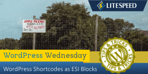 WordPress Wednesday: Shortcodes as ESI Blocks