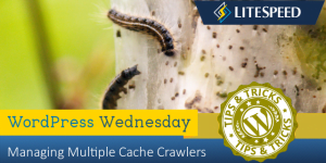 WordPress Wednesday: Managing Multiple Cache Crawlers