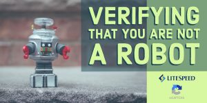 reCAPTCHA Server-Wide Protection: Verifying that you are not a robot