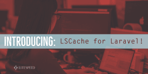 LiteSpeed Cache Package for Laravel
