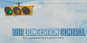 BBR Congestion Control in QUIC and HTTP/3