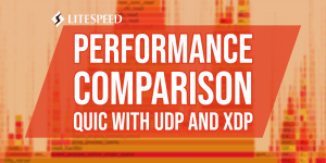 Compare Performance QUIC UDP XDP