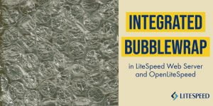 Bubblewrap in LiteSpeed Web Server
