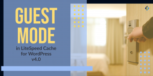 Guest Mode for WordPress in LiteSpeed Cache