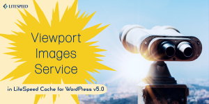 Viewport Images Service LSCWP 5.0