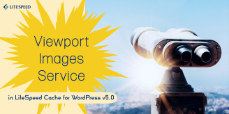 LSCWP 5.0: Viewport Images Service