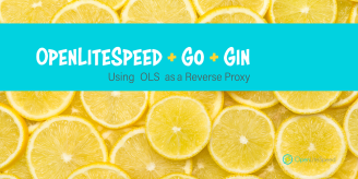 OpenLiteSpeed + Go + Gin