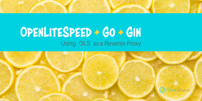 openlitespeed-go-gin-litespeed-blog