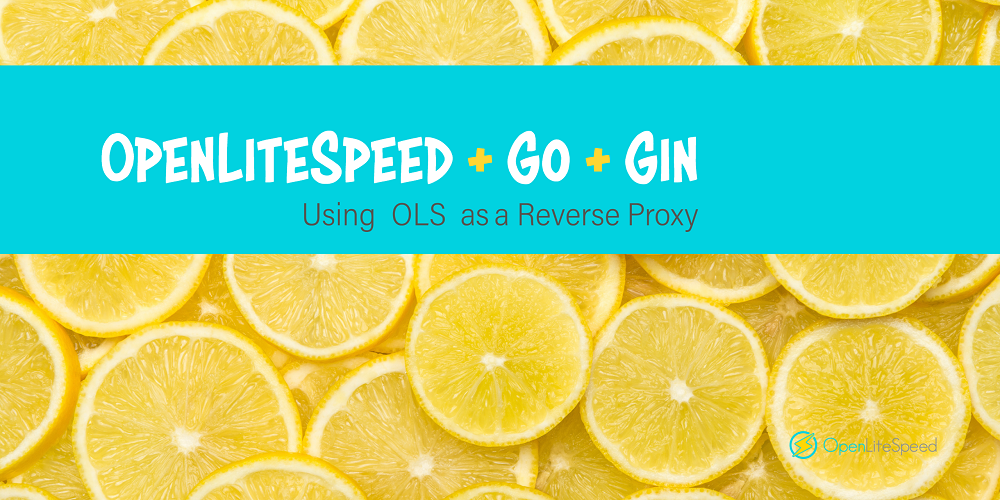 OpenLiteSpeed + Go + Gin