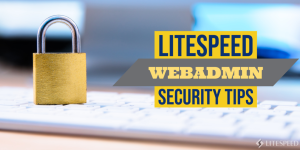 LiteSpeed WebAdmin Security Tips