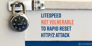 Rapid Reset HTTP/2 LiteSpeed