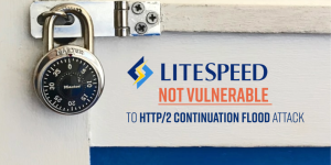 LiteSpeed Not Vulnerable to HTTP/2 CONTINUATION Flood Vulnerability