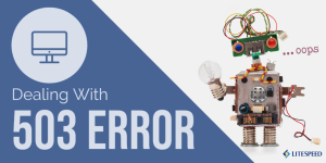 503 Error with LiteSpeed Web Server