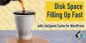 Disk space filling up fast with LiteSpeed Cache for WordPress